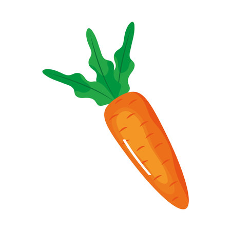 carrot fresh vegetable healthy iconのイラスト素材