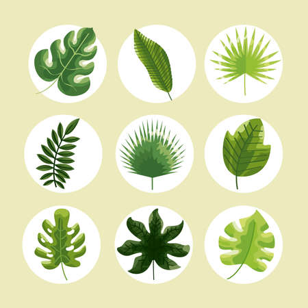 nine botanical leafs nature iconsのイラスト素材