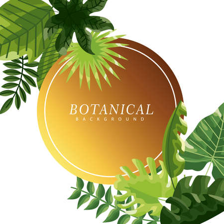 botanical leafs in circular frameのイラスト素材