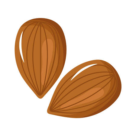 almonds seeds healthy food iconsのイラスト素材