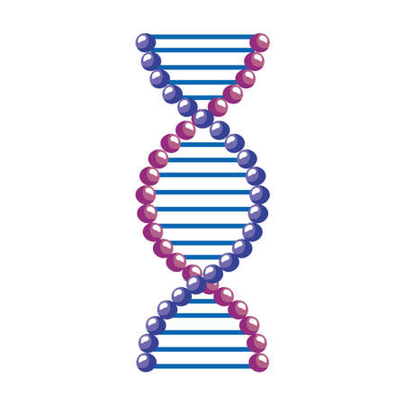 purple and lilac dna moleculeのイラスト素材