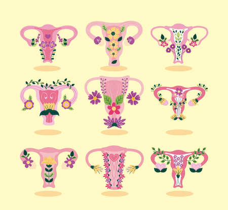 nine uterus with flowers iconsのイラスト素材