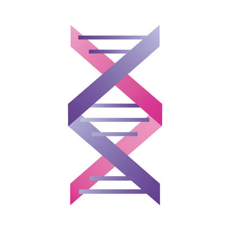 purple and pink dna moleculeのイラスト素材