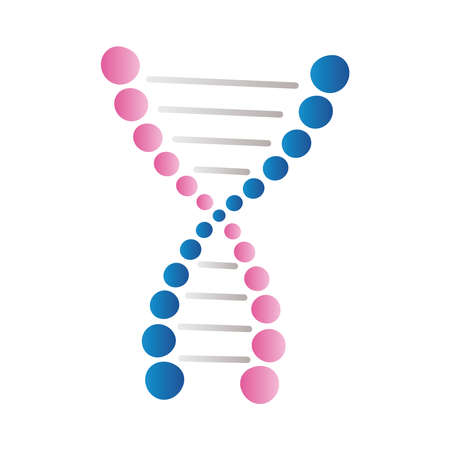 dna blue and pink moleculeのイラスト素材