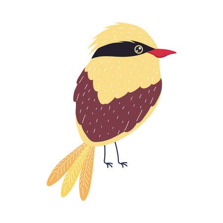 golden oriole bird specie animalのイラスト素材