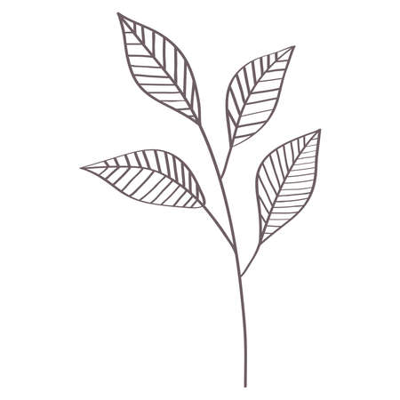 branch with leavesのイラスト素材