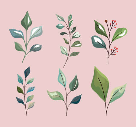 Plant leaves symbol setのイラスト素材