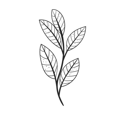 garden leaf iconのイラスト素材