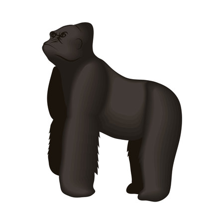 Cute gorilla cartoon on white background