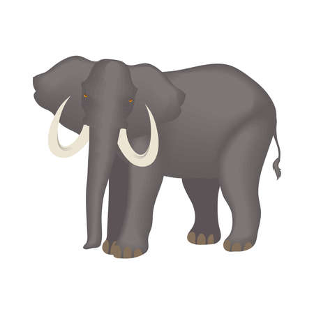Cute elephant cartoon on white backgroundのイラスト素材