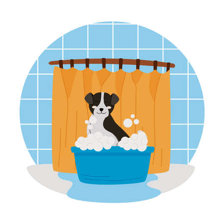 cute dog bathing in blue tubのイラスト素材