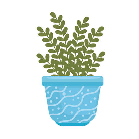 indoor plant ornamental in potのイラスト素材