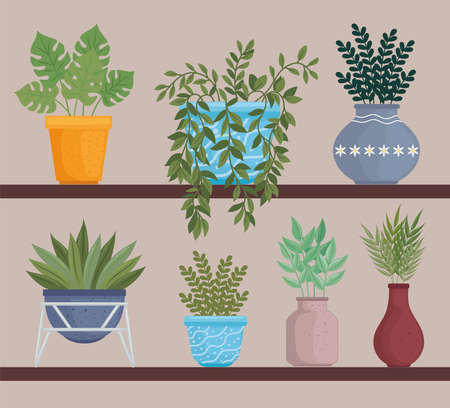 indoor plants with potsのイラスト素材