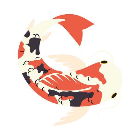 orange black and white koi fish designのイラスト素材