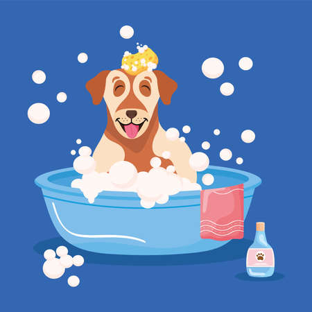 poster with pet in bathtubのイラスト素材