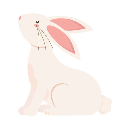 little rabbit animalのイラスト素材