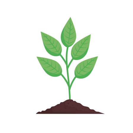 plant icon natureのイラスト素材