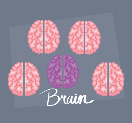 unique concept brains