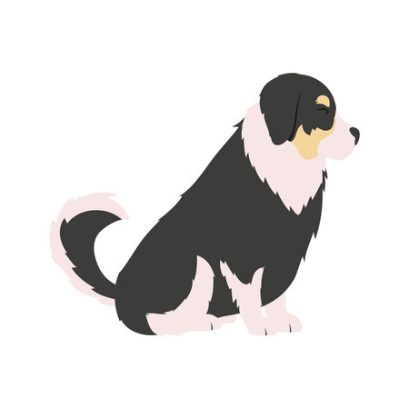 cute bernese mountain dog animalのイラスト素材