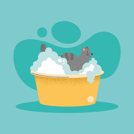 washing cat in bowl with foamのイラスト素材
