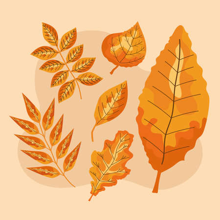 six autumn leafsのイラスト素材