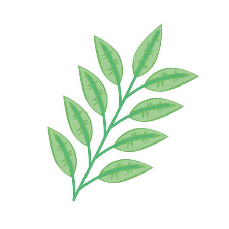 branch with leafsのイラスト素材