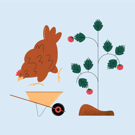 tomatoes plant and hen farming iconsのイラスト素材