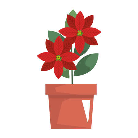 christmas flower in pot plantのイラスト素材