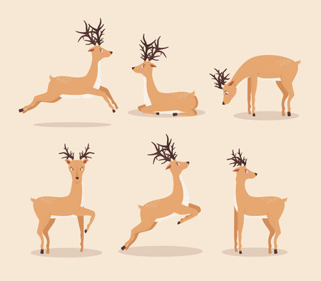 six reindeer animals groupのイラスト素材