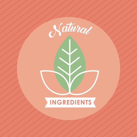 natural ingredients label with leavesのイラスト素材