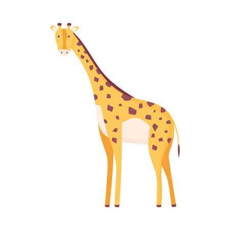 exotic giraffe animalのイラスト素材