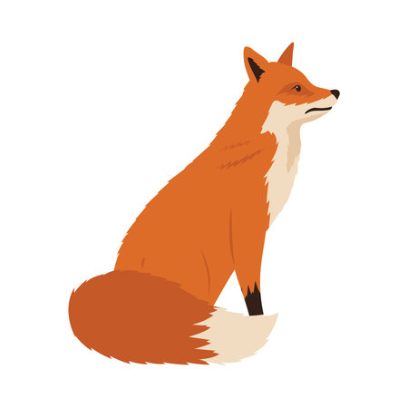 wild fox animal nature icon