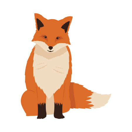 wild fox seated animal iconのイラスト素材