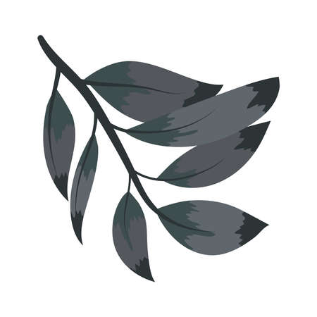leaves elegant plant nature iconのイラスト素材