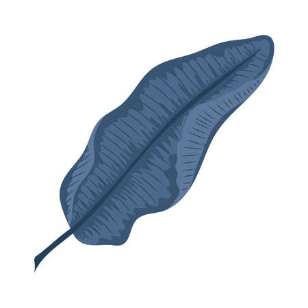 leaf palm exotic nature iconのイラスト素材