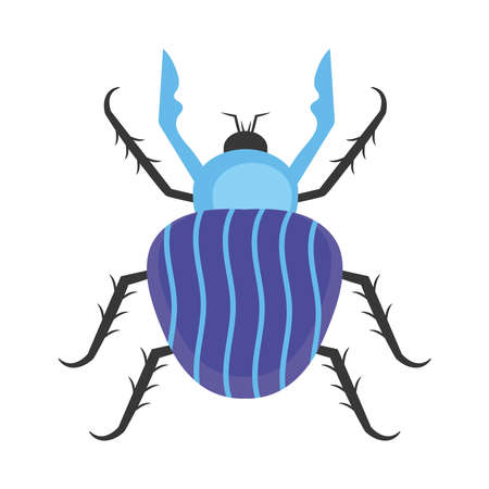 beetle insect scandinavianのイラスト素材