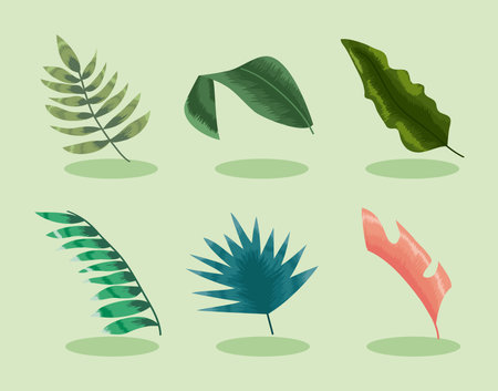 six tropical leafs set iconsのイラスト素材