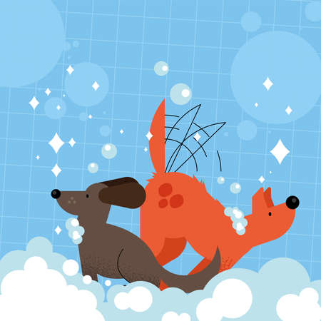 dogs with soap foam charactersのイラスト素材