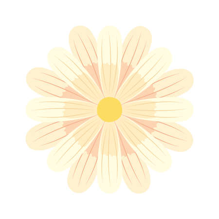 white flower spring season iconのイラスト素材