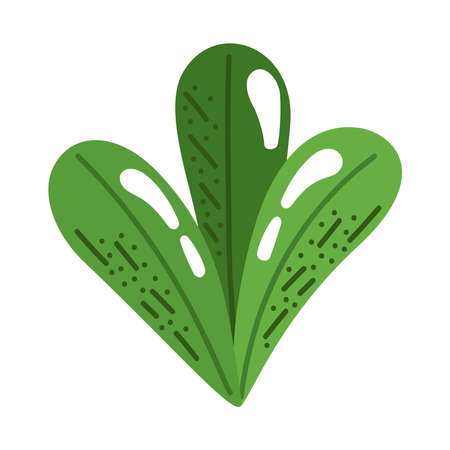 leaves plant ecology nature iconのイラスト素材