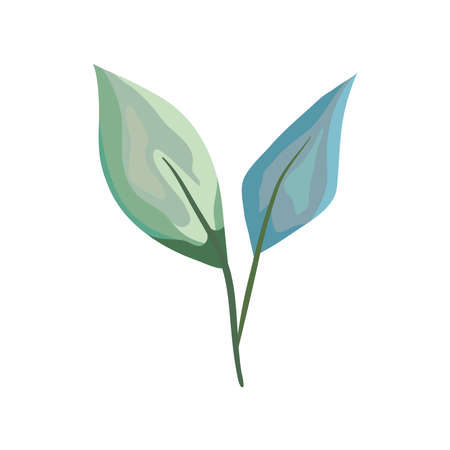 leafs plant foliageのイラスト素材