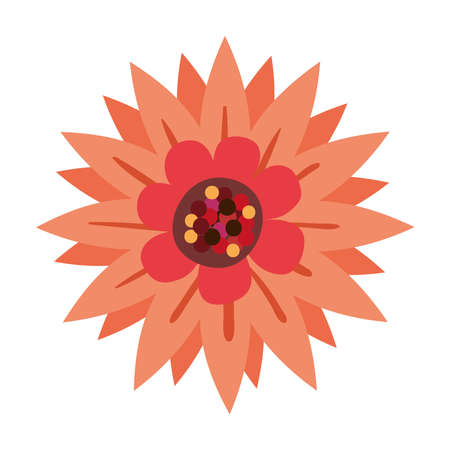 orange flower springのイラスト素材