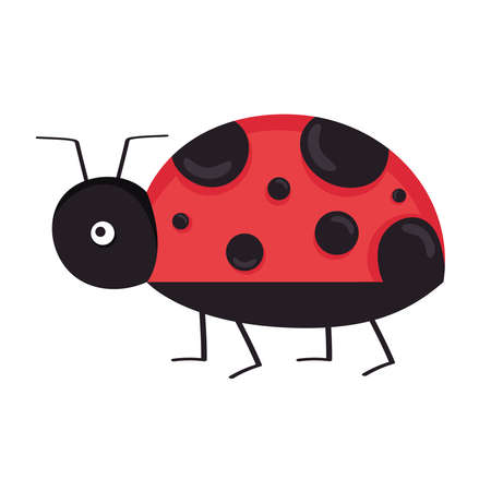 ladybug cute spring animalのイラスト素材