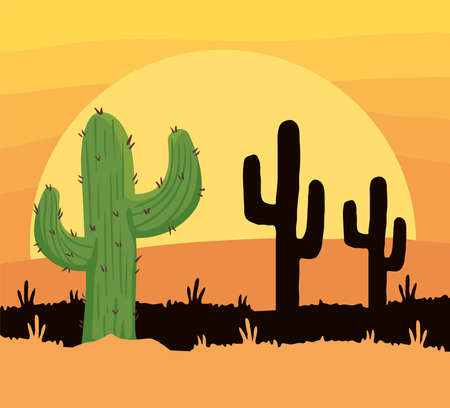 cactus in desertのイラスト素材