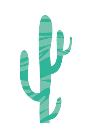 cactus desert plant icon isolatedのイラスト素材