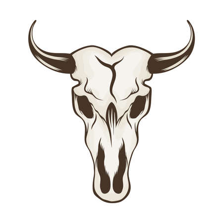 bull skull head wild westのイラスト素材