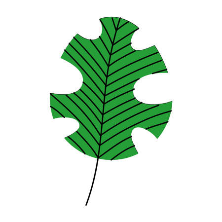 green tropical leaf nature iconのイラスト素材