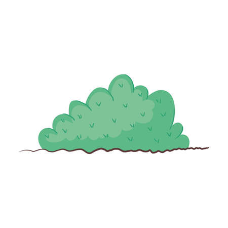 garden green bushのイラスト素材