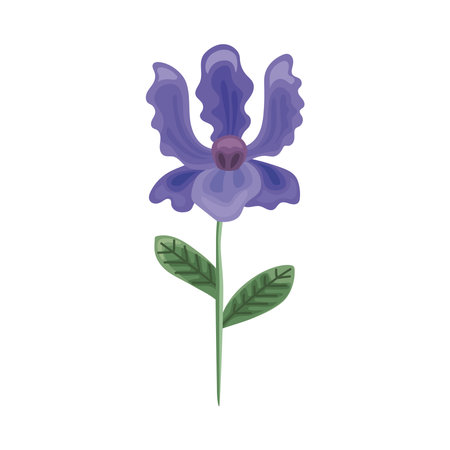purple exotic flowerのイラスト素材