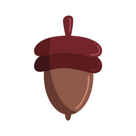 autumn acorn seedのイラスト素材